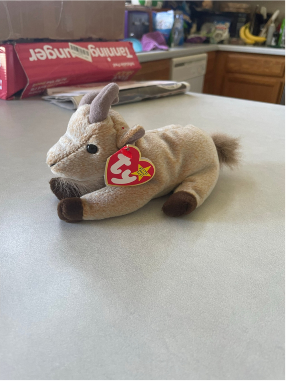 Ty Inc. Goatee Stuffed Animal One Size Beige Brown